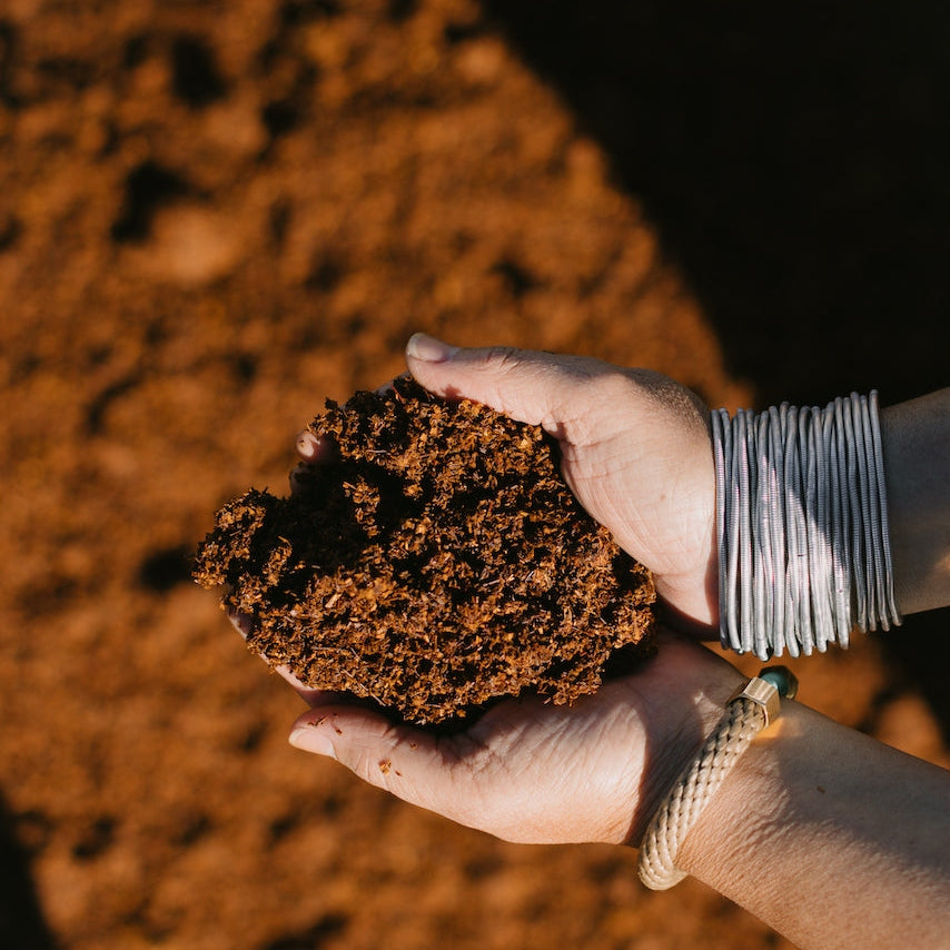 Why Organic Farming Matters More Than Ever.