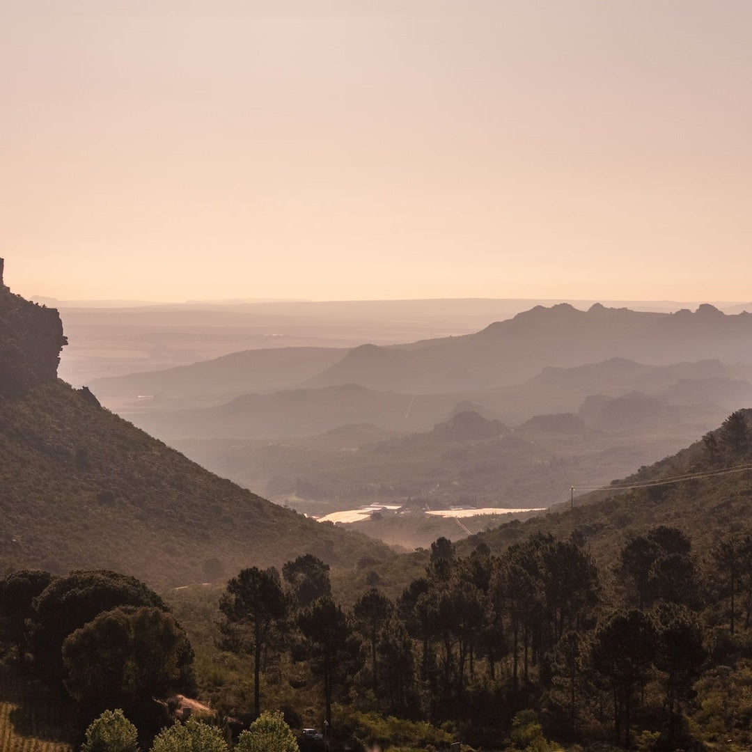 Why Visiting the Cederberg Region Should Be on Your 2025 Bucket List