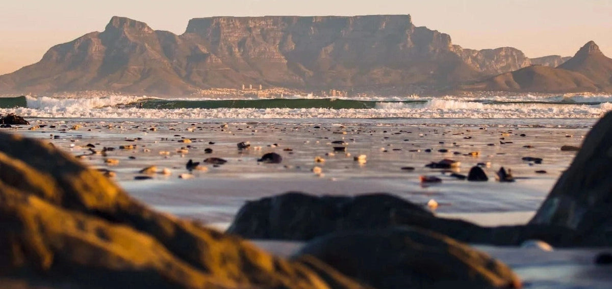 Wholesome Initiatives to Get Involved With in and Around South Africa