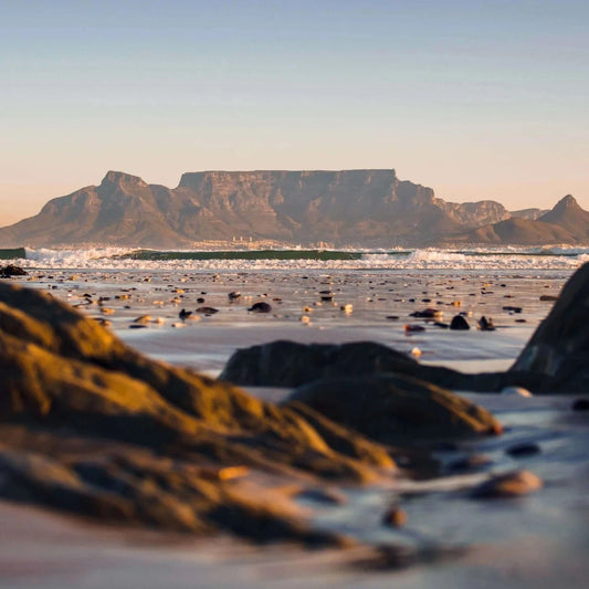 Wholesome Initiatives to Get Involved With in and Around South Africa
