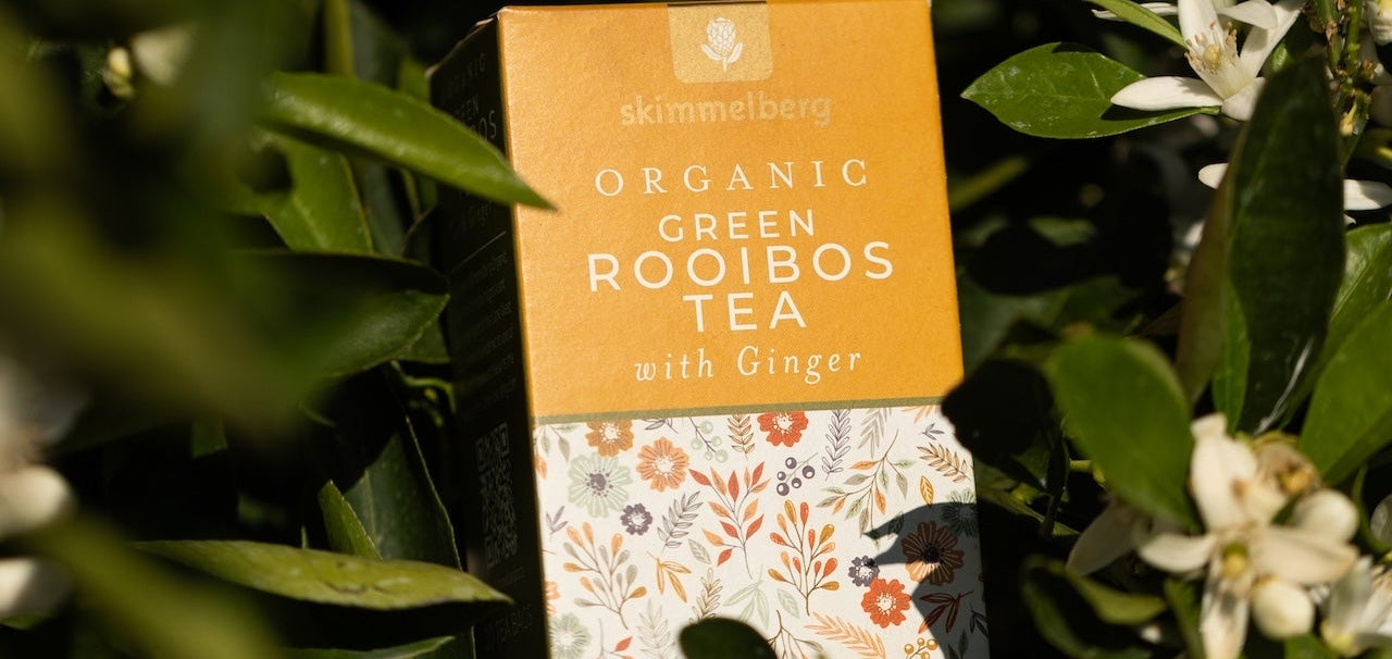 The Art of Organic Green Rooibos with Ginger: Where Cederberg Terroir Meets Modern Wellness