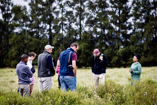 Community, Craft, and Cederberg Terroir: Educational Tours in Organic Buchu and Rooibos Farming