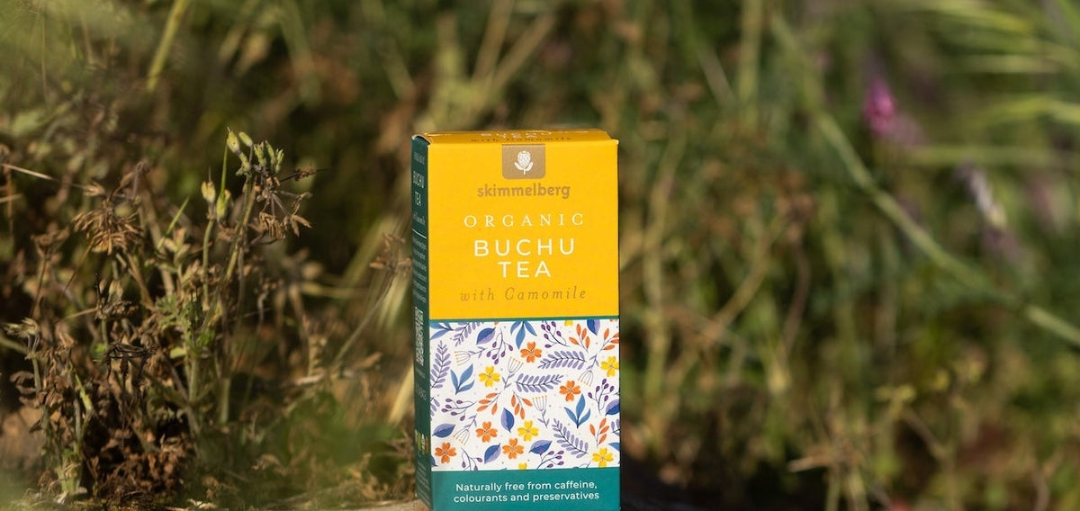 Sustainable Farming in the Cape Floral Kingdom: The Heritage and Future of Buchu and Rooibos