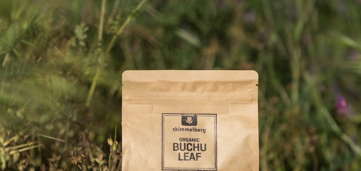 Inside Skimmelberg: Organic Rooibos & Buchu from Cedarberg Soil to Teacup