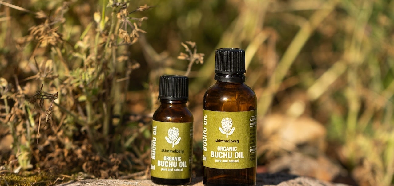 Buchu Oil Secrets: The Sustainable Craft Behind Skimmelberg’s Iconic Essential Oil