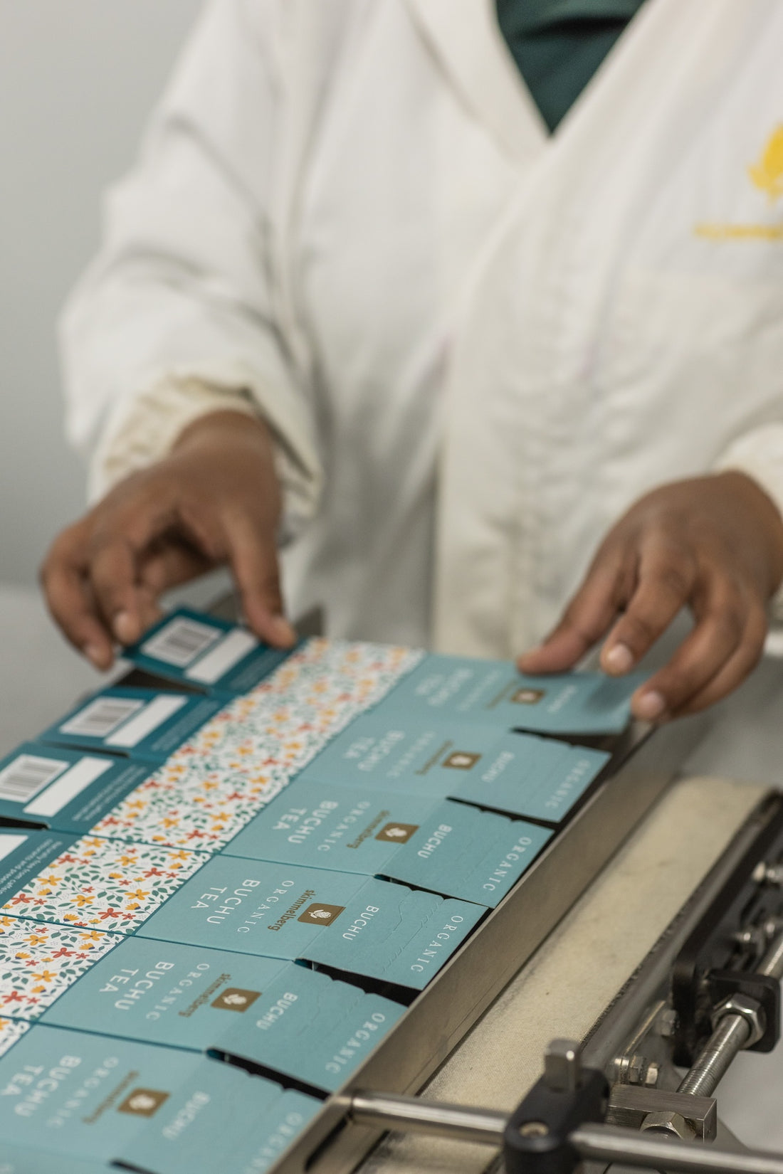 From Field to Cup: Inside Skimmelberg's Quality Journey for Organic Buchu and Rooibos