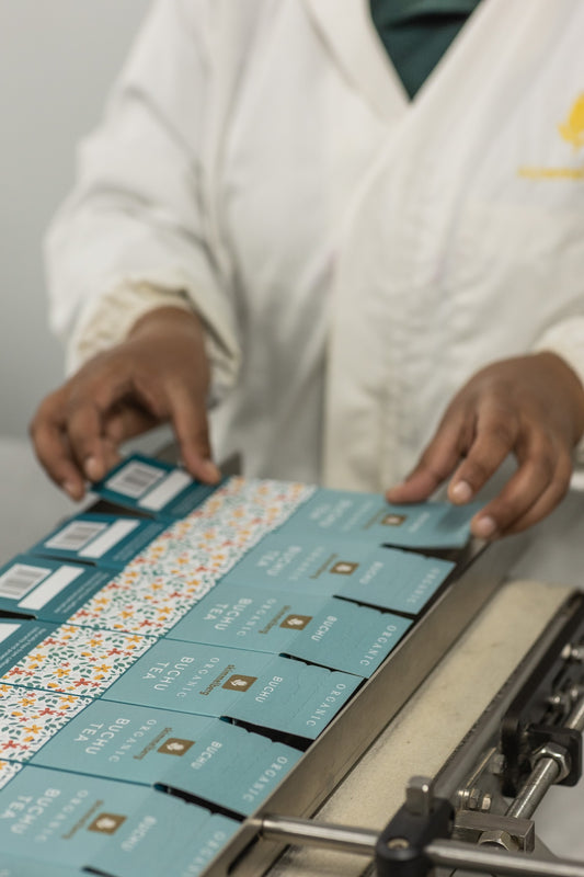 From Field to Cup: Inside Skimmelberg's Quality Journey for Organic Buchu and Rooibos