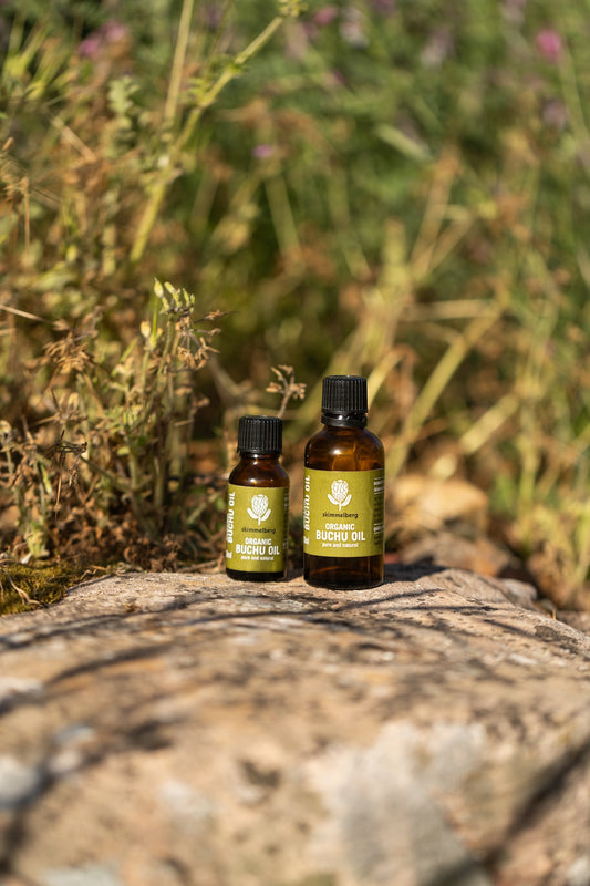 Buchu Oil Secrets: The Sustainable Craft Behind Skimmelberg’s Iconic Essential Oil
