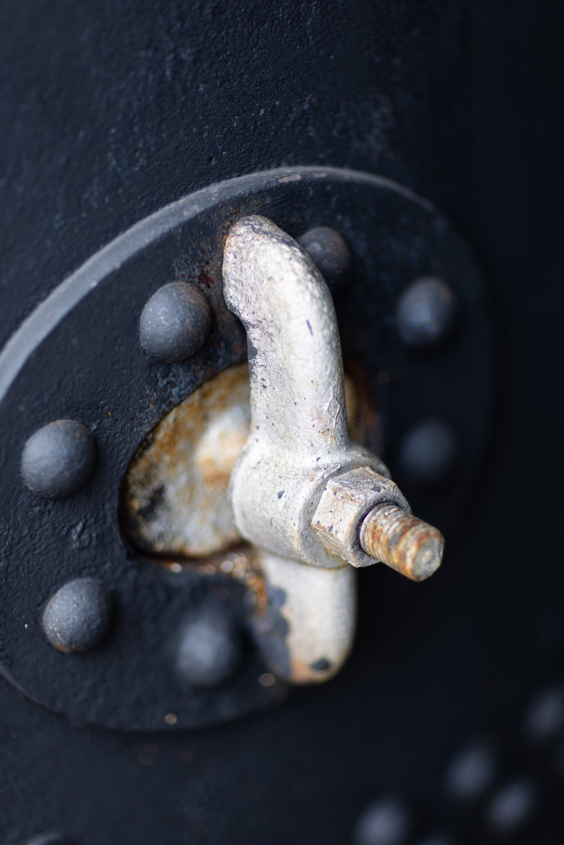 Where Heritage Meets Innovation: Sustainable Tea Farming in the Cederberg