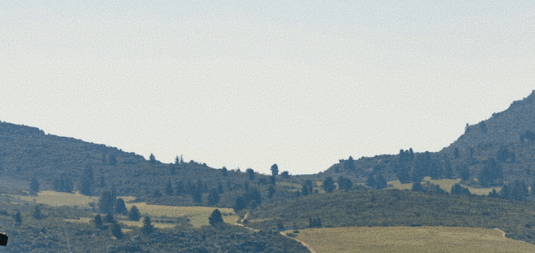 Organic Buchu and Rooibos in the Cederberg: Our Heritage, Values, and Farming Philosophy