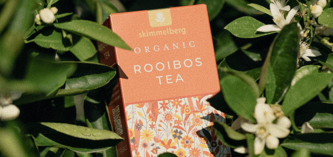 Rooted in the Cederberg
