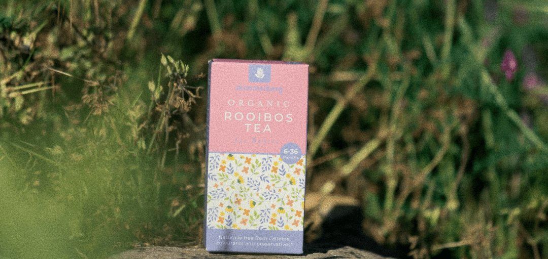 Organic Tea Heritage in the Cederberg: How Skimmelberg Grows Buchu and Rooibos Sustainably