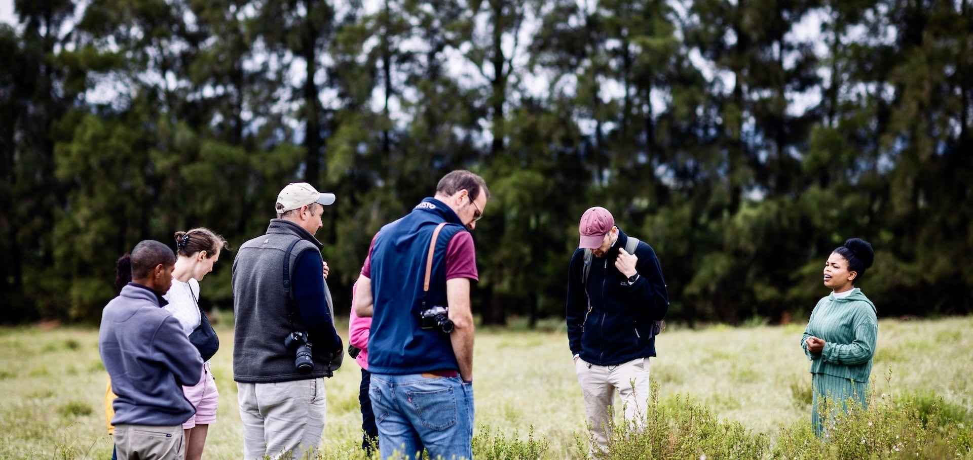 Community, Craft, and Cederberg Terroir: Educational Tours in Organic Buchu and Rooibos Farming