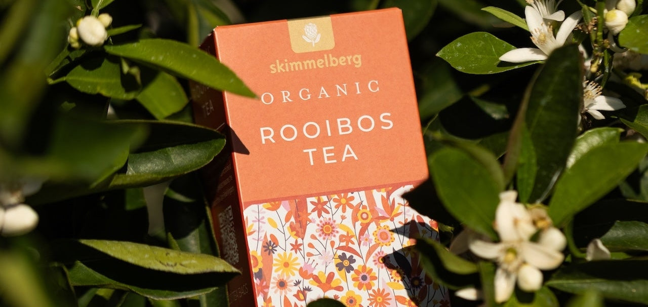 From Soil to Sip: The Sustainable Journey of Organic Rooibos and Honeybush at Skimmelberg