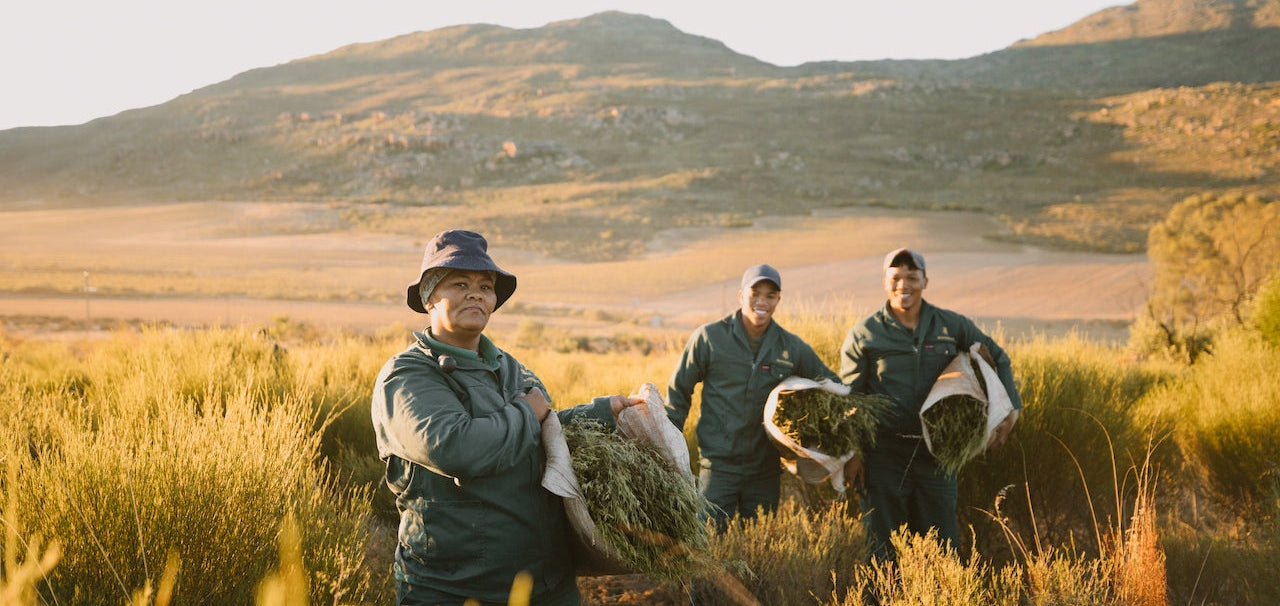 Generations of Care: The Skimmelberg Story of Sustainable Farming