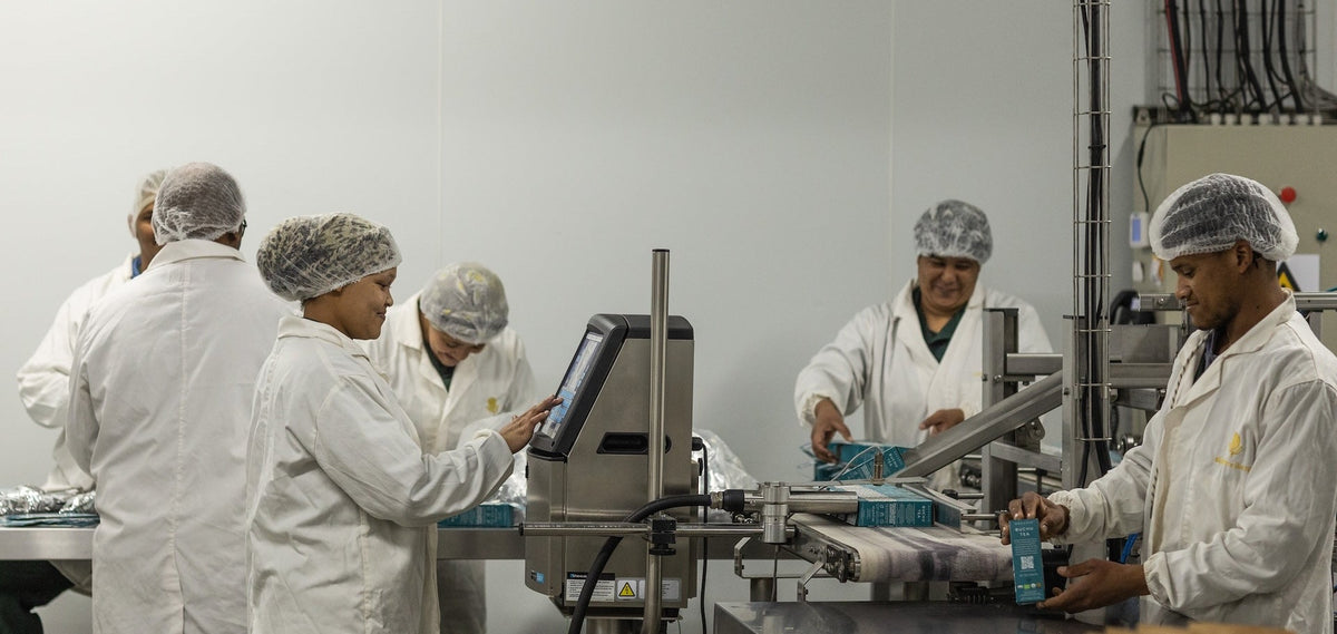 The Heritage and Craftsmanship Behind Organic Tea Production at Skimmelberg