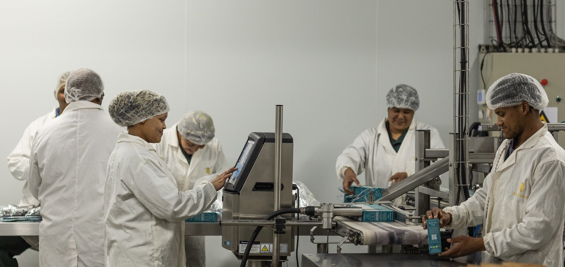 The Heritage and Craftsmanship Behind Organic Tea Production at Skimmelberg