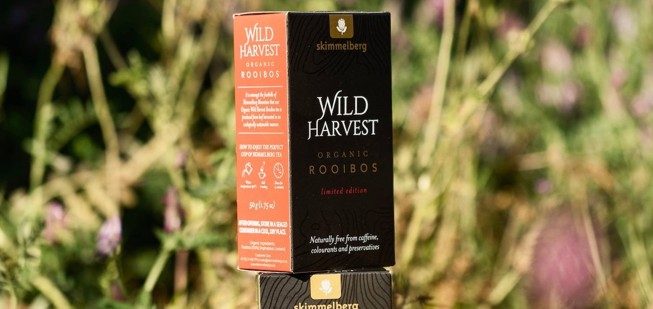 The Cederberg Connection: How Mountain Terroir Shapes Wellness Through Organic Buchu and Rooibos