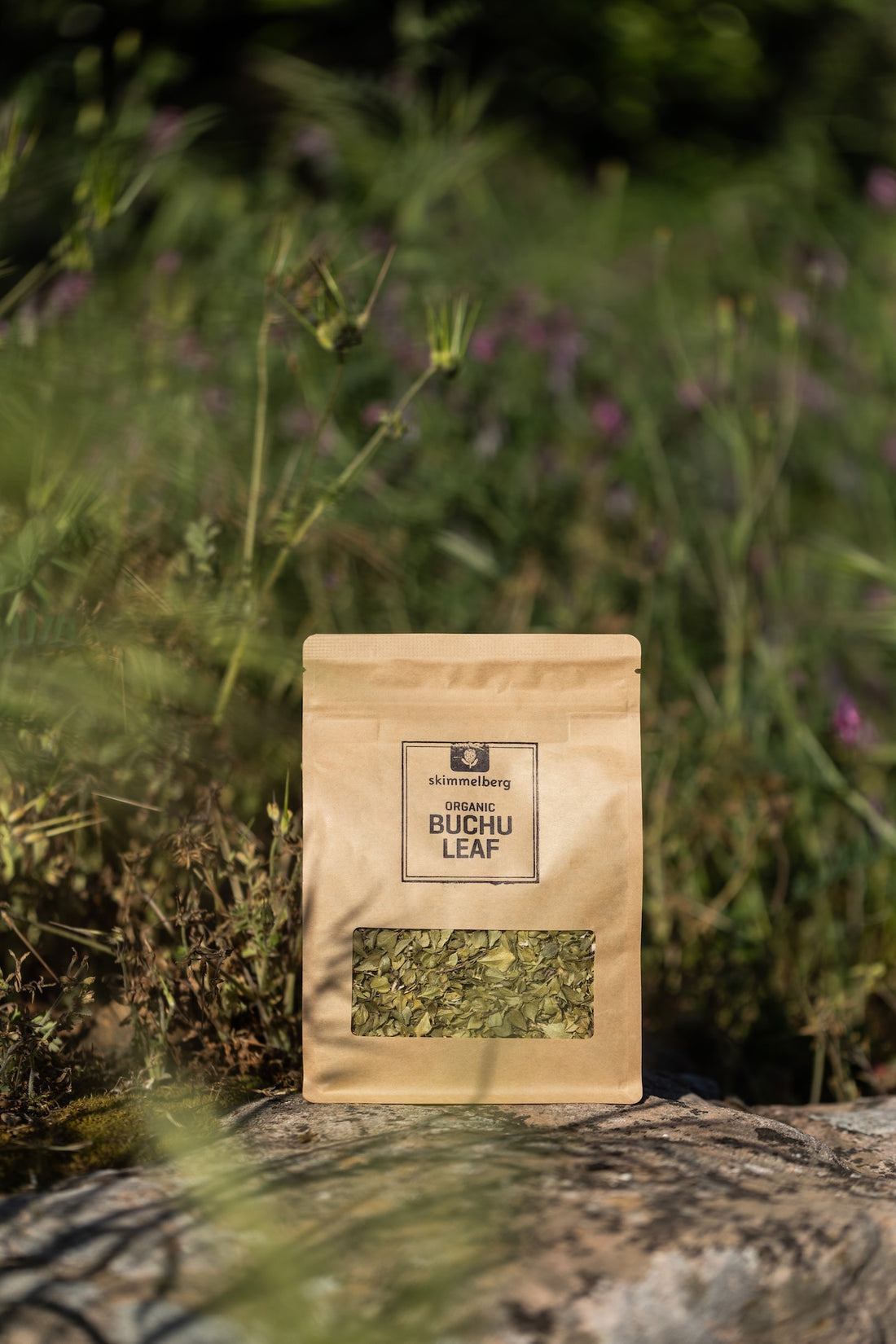 Inside Skimmelberg: Organic Rooibos & Buchu from Cedarberg Soil to Teacup