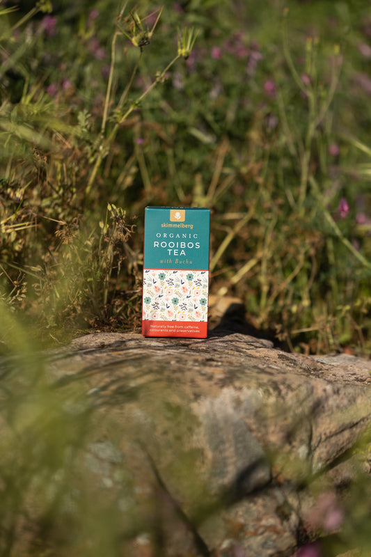 Where Nature Meets Wellness: A Cederberg Tea Story