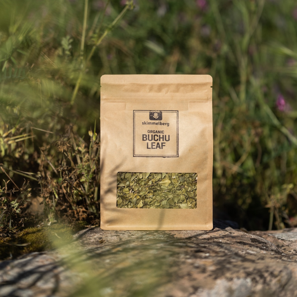 buchu, herbal tea, buchu tea, organic tea, organic buchu, boegoe tea, south african local tea, organic buchu tea, buchu south africa, cape town buchu tea, buy buchu online, buchu leaf, agathosma betulina