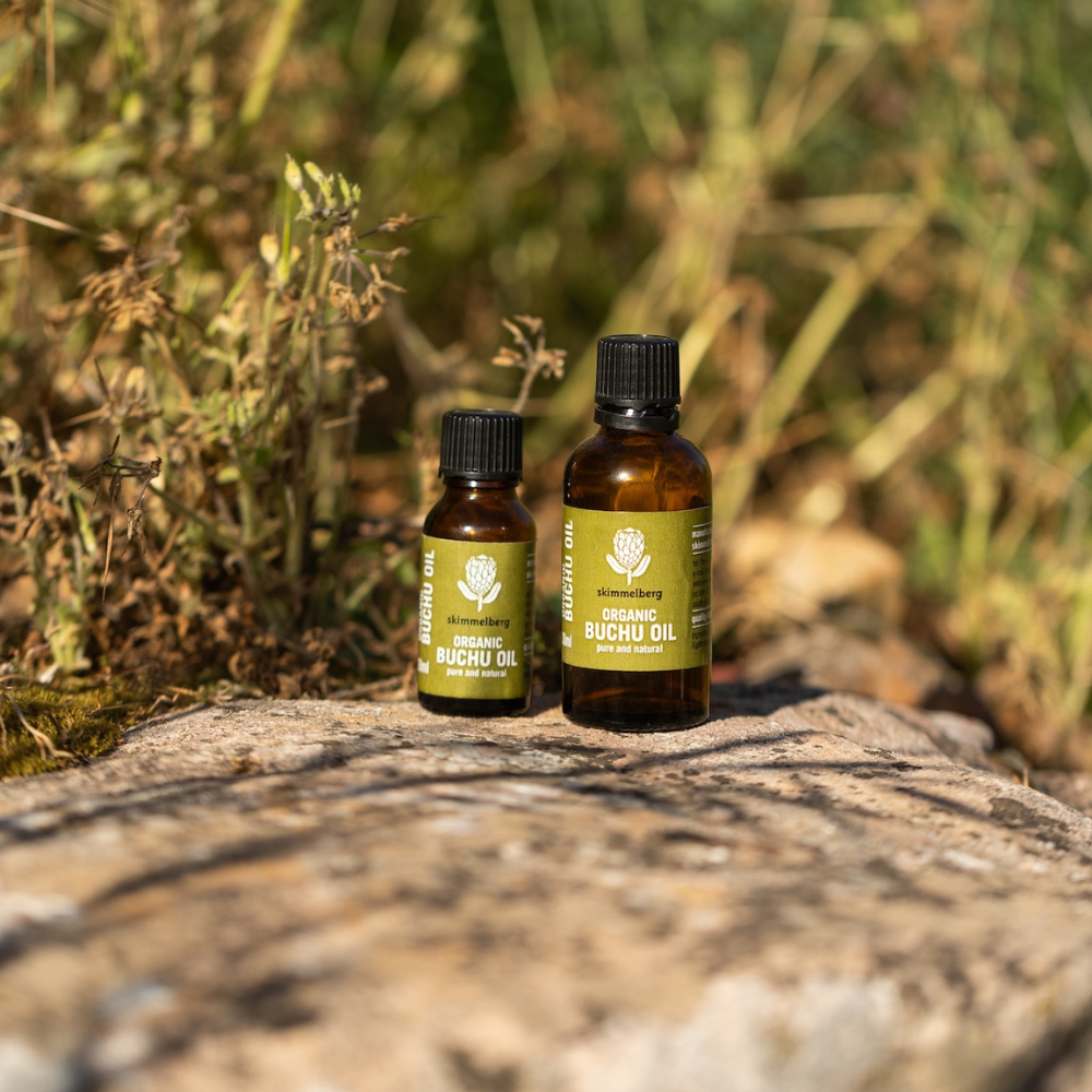 buchu oil, herbal buchu oil, organic buchu oil, south african buchu oil, local buchu oil, buchu oil south africa, buy buchu oil online, best buchu oil, buchu leaf oil, agathosma betulina oil