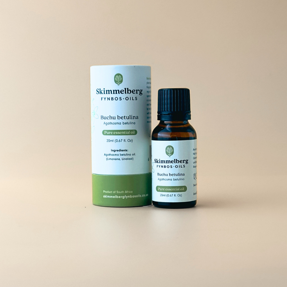 Buchu Betulina Essential Oil Skimmelberg Fynbos Oils Essential Oil buchu, oil, organic, skimmelberg Skimmelberg