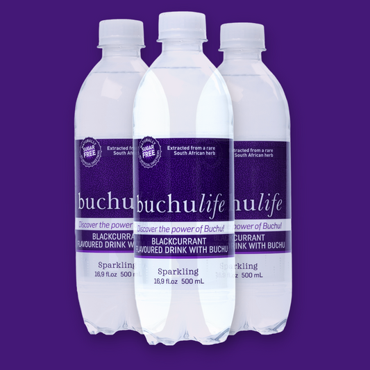 Sparkling Herbal Water with Blackcurrant